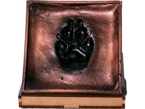 HUELLA EN CAJA DE MADERA